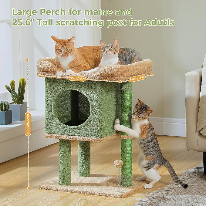 PAWZ Road Cat Tree for Indoor Cats, 26 Inches Cactus Cat Tower with Large Perch, Private Condo, Small Cat Condo with Spring Ball & 2 Scratching Posts for Cats