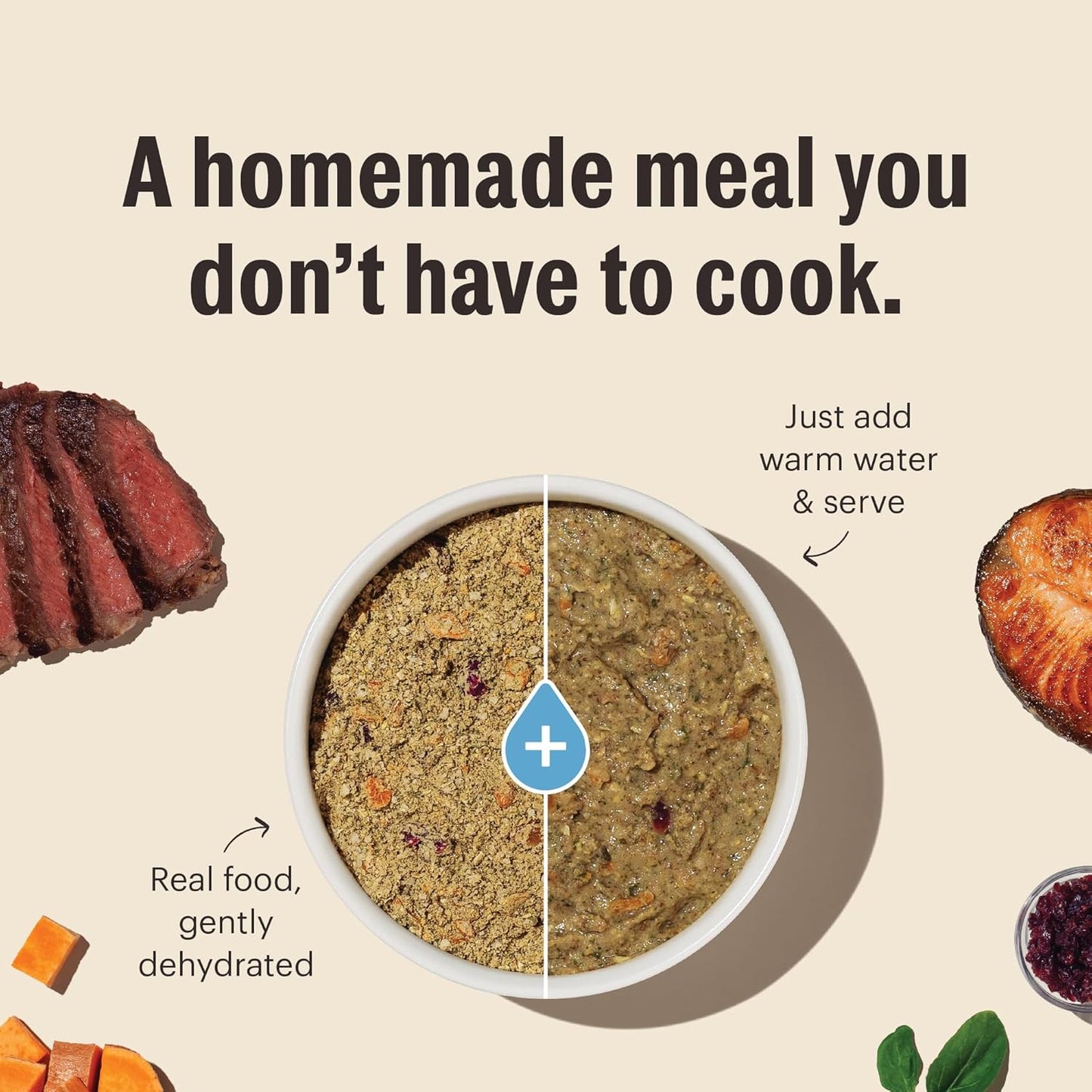 The Honest Kitchen Wholemade™ Grain Free Chicken Dog Food, 1.5 oz x10