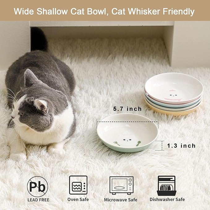 Ceramic Cat Bowls Set - 5.5 inch Wide Cat Food Bowls Whisker Fatigue Friendly, 5 Colorful Kitten Dish Plates with Cute Pattern for Wet and Dry Food Water