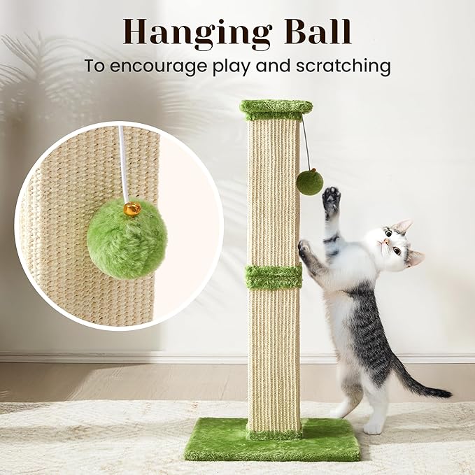Cat Scratching Post with Hanging Toy Ball, 32-Inch Tall Sisal Cat Scratcher for Indoor Cats, Green