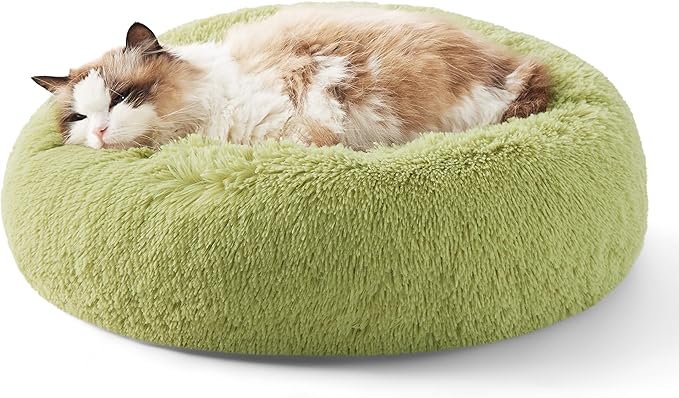 Bedsure Calming Cat Beds for Indoor Cats - Small Cat Bed Washable 20 inches, Anti-Slip Round Fluffy Plush Faux Fur Pet Bed, Fits up to 15 lbs Pets, Green