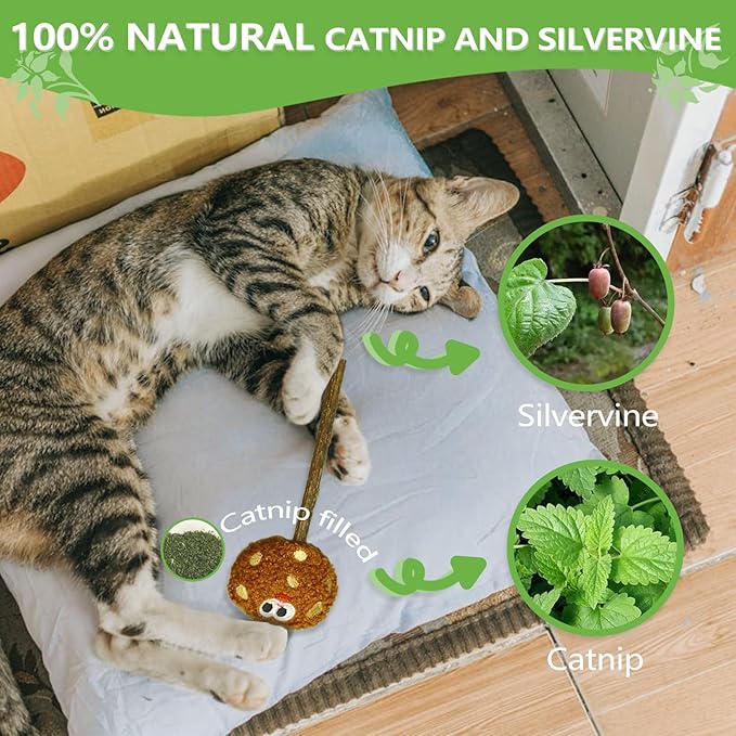 Silvervine Sticks for Cats, Lollipops Catnip Toys & Cat Chew Toy for Teeth Cleaning, Cat Toys for Indoor Cats (3-Pcs)