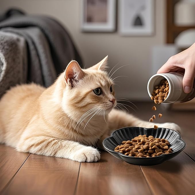 Cat Food Bowls, Ceramic Cat Plates, Dish for Food, Water and Snack, 4.72 Inch, Indoor and Outdoor Use, Kitten Puppy and Small Animals Bowls Set of 3 (Black)