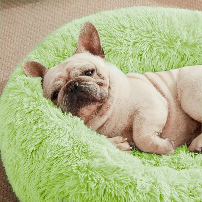 Love's cabin 20in Cat Beds for Indoor Cats - Cat Bed with Machine Washable, Waterproof Bottom - Light Green Fluffy Dog and Pet Calming Cushion Bed for Joint-Relief and Sleep Improvement