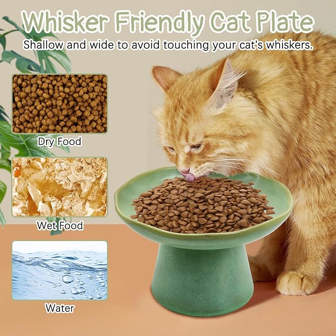 VCEPJH Raised Cat Food Bowls Shallow Cat Plate Ceramic Elevated Cats Dish 6.1in Flat Anti Whisker Fatigue Wide Pet Food & Water Feeder for Indoor Kitty Kitten (Green)