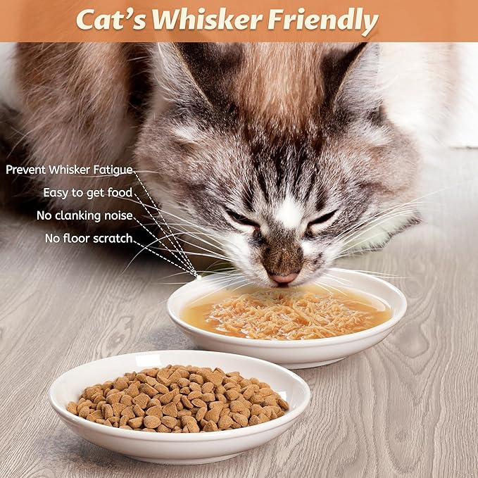 Cat Bowls, Ceramic Cat Food Bowl Set with Silicone Ring for Non Slip, Cute Cats Dishes and Plates for Feeding Indoor Cats, Kitten, Small Dogs (White-4 Pack, 6 Inches)