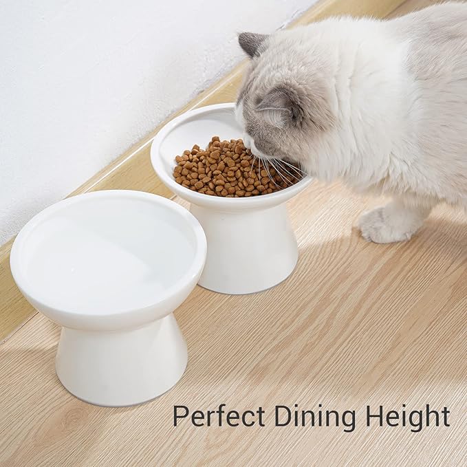 Extra Wide Elevated Ceramic Cat Water Bowl - 6.2" Deeper Dish for Whisker Fatigue Relief, 5" Height for Easy Feeding, Lead & Cadmium Free, Durable Raised Cat Bowls, White