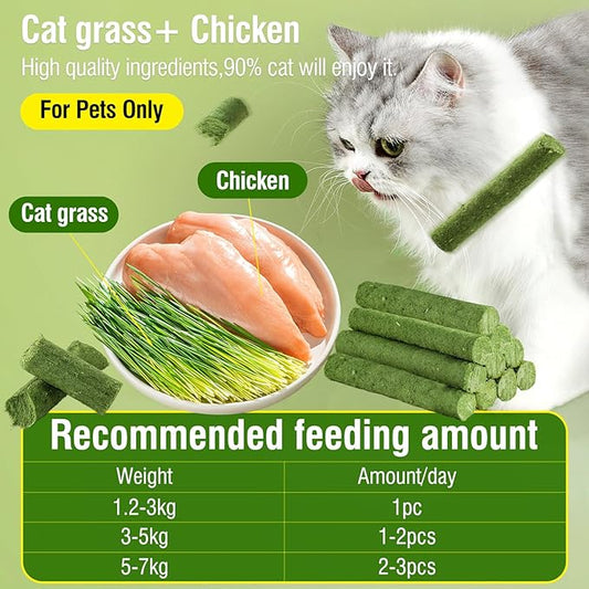 HavenJanny 50g/1.76oz Cat Grass Teething Stick, Cat Grass Stick Canned for Indoor Cats, Cats Treats Hairball Relief and Teeth Cleaning