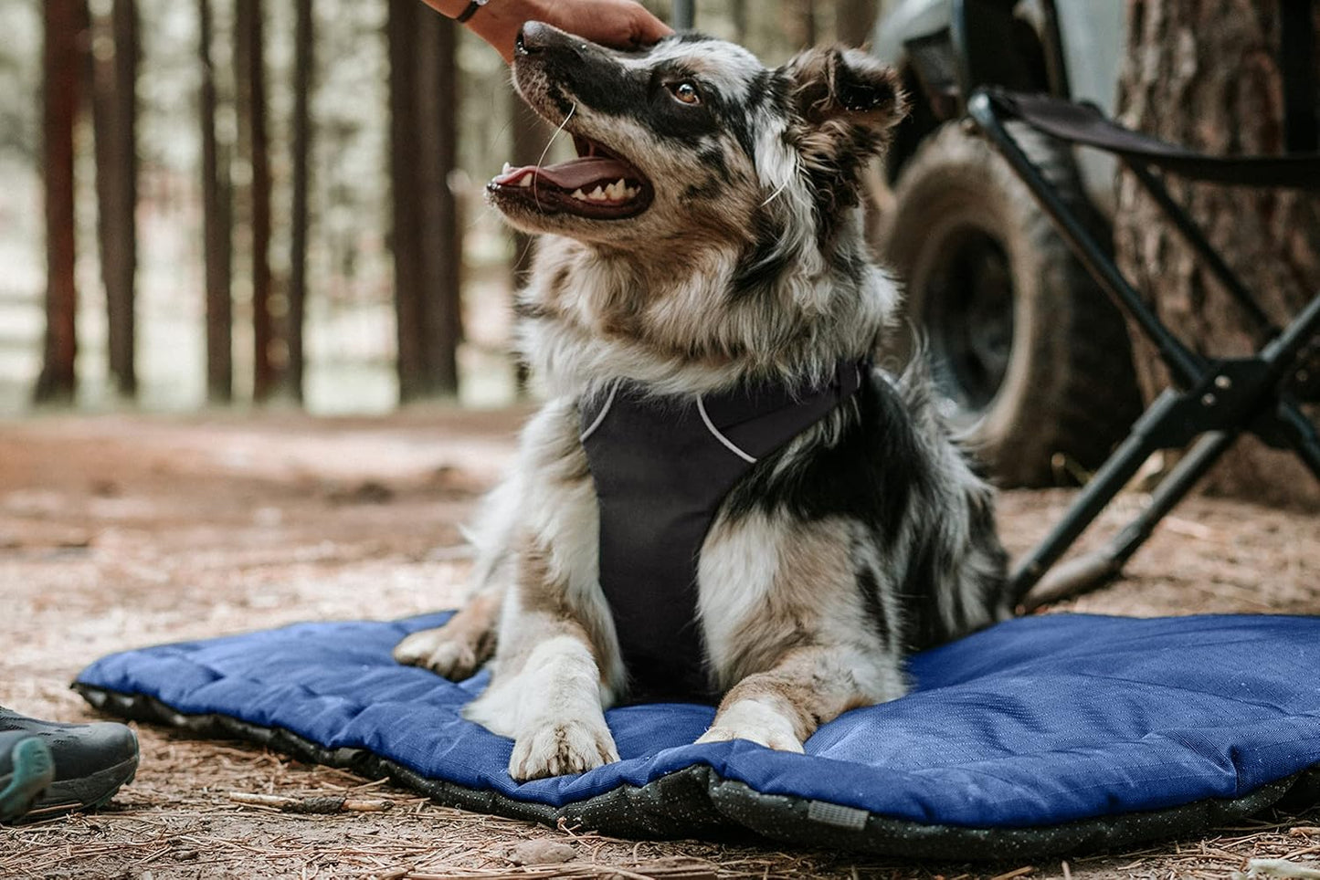 K9 Ballistics Tough Ripstop Dog Crate Pad - Durable & Machine Washable with Non-Skid Bottom and 120-Day Warranty, Fits 48" Wire Crates - 47"x29" Obsidian Black
