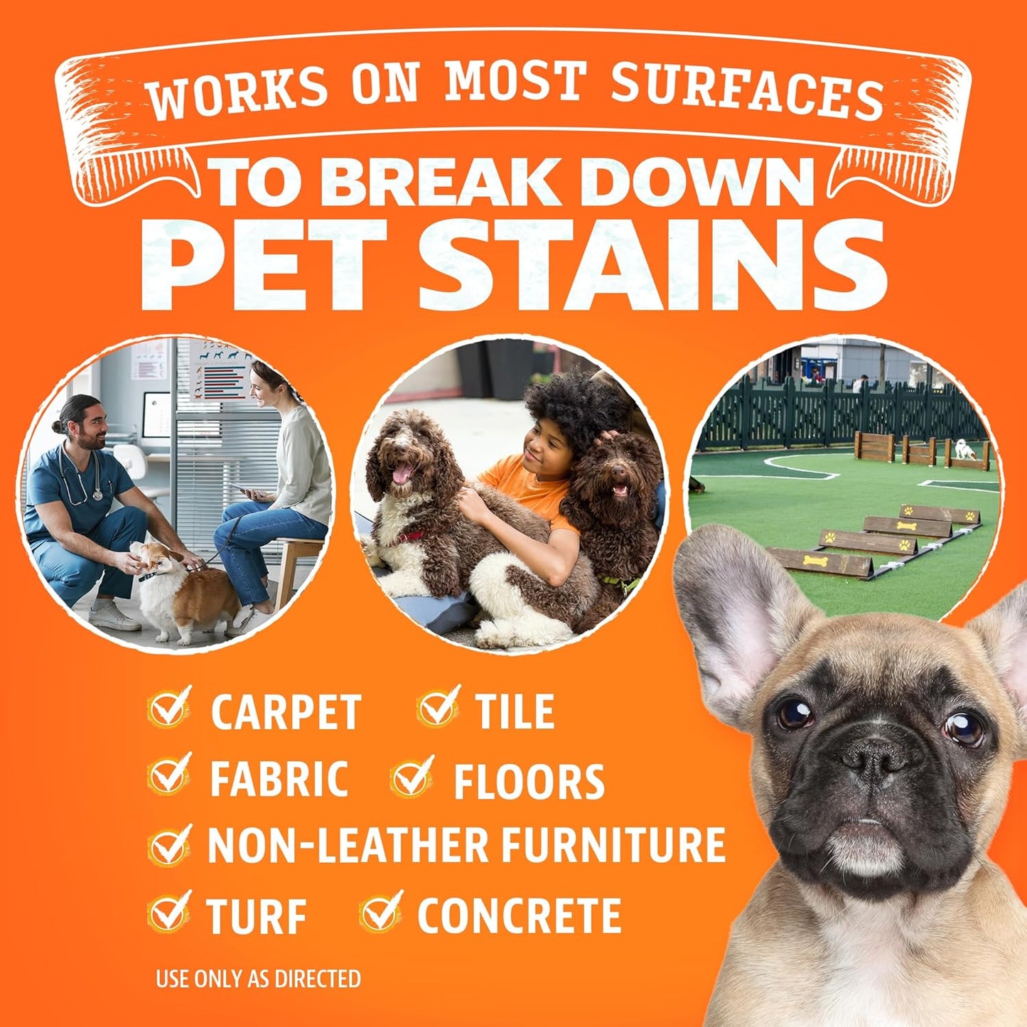 ANGRY ORANGE 1 Gallon Enzyme Cleaner and Deodorizer, Pet Stain and Odor Remover for Dog & Cat Urine and Stains - Citrus, Made in USA