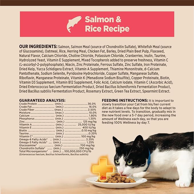 Wellness CORE+ Adult Dry Cat Food for Indoor and Outdoor Cats, Wholesome Grains, Natural, Digestive Health Salmon & Rice (5 Pound Bag)