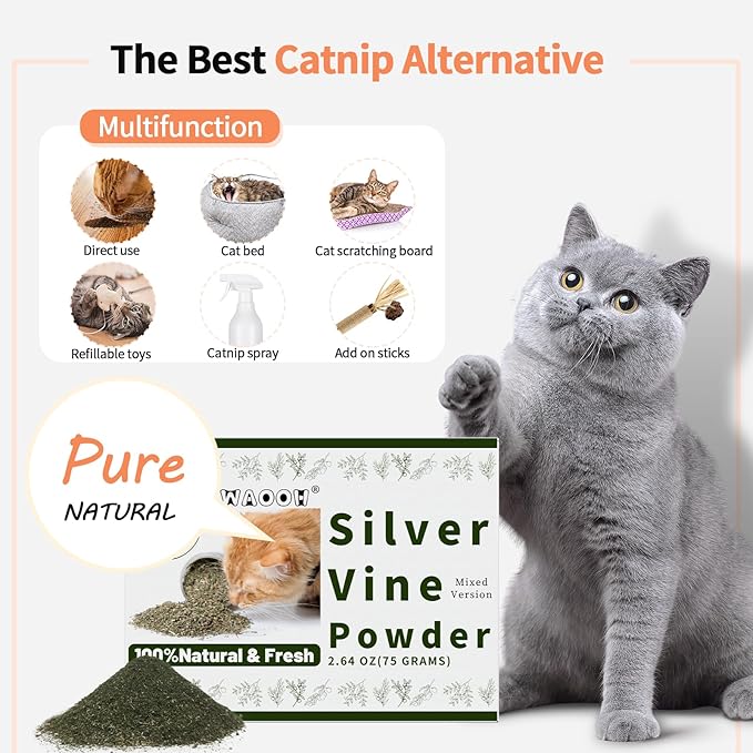 Cat Toys - Blend Silvervine Powder 75g with 5 Pouches, Catnip Alternative, 100% Natural Silver Vine Gall Fruit Powder & Silvervine Leaves, Suitable for All Cat Ages