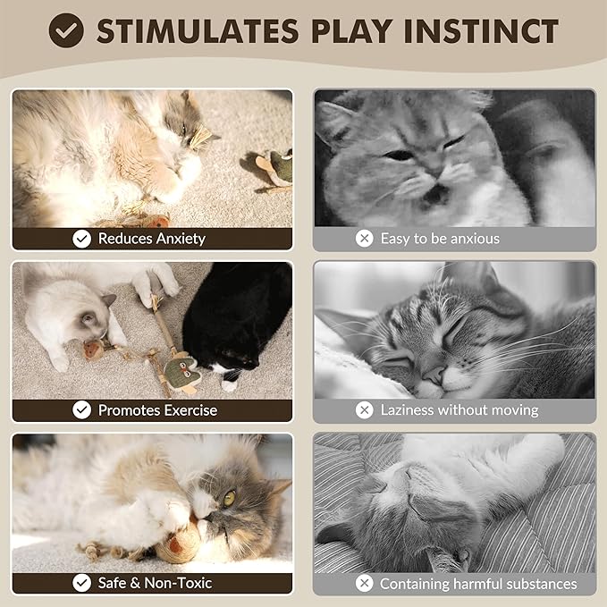 3-Pack Silvervine Sticks for Cats with Sisal Rope – Cat Toys for Indoor Cats, Catnip Chew Toys for Nature Dental Care & Interactive Play