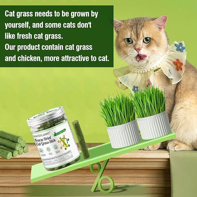 HavenJanny 100g/3.52oz Cat Grass Teething Stick for Cat, Cat Grass Stick Canned for Indoor Cats, Cat Grass Treats Hairball Relief and Teeth Cleaning