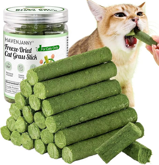 HavenJanny 100g/3.52oz Cat Grass Teething Stick for Cat, Cat Grass Stick Canned for Indoor Cats, Cat Grass Treats Hairball Relief and Teeth Cleaning