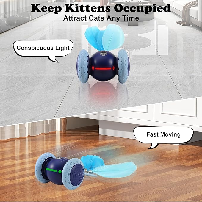 Interactive Cat Mouse Toy, Indoor Kitten Toys, Automatic Cat Wheel, Rechargeable