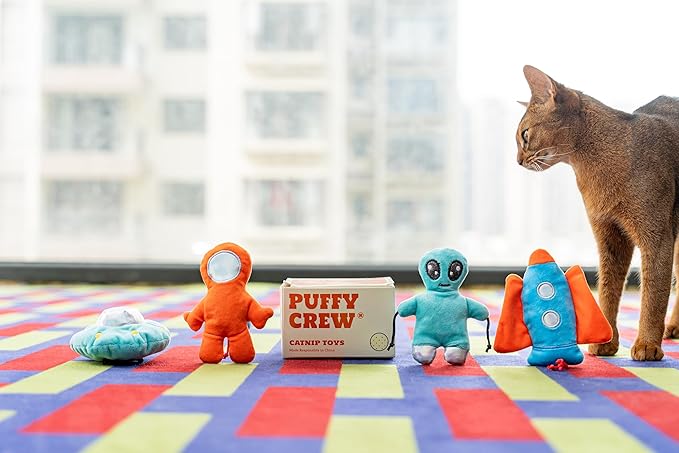 Interactive Catnip Cat Plush Toy, Space Travel Theme, 5‘’, for All Breed Size Cats (4 in 1)