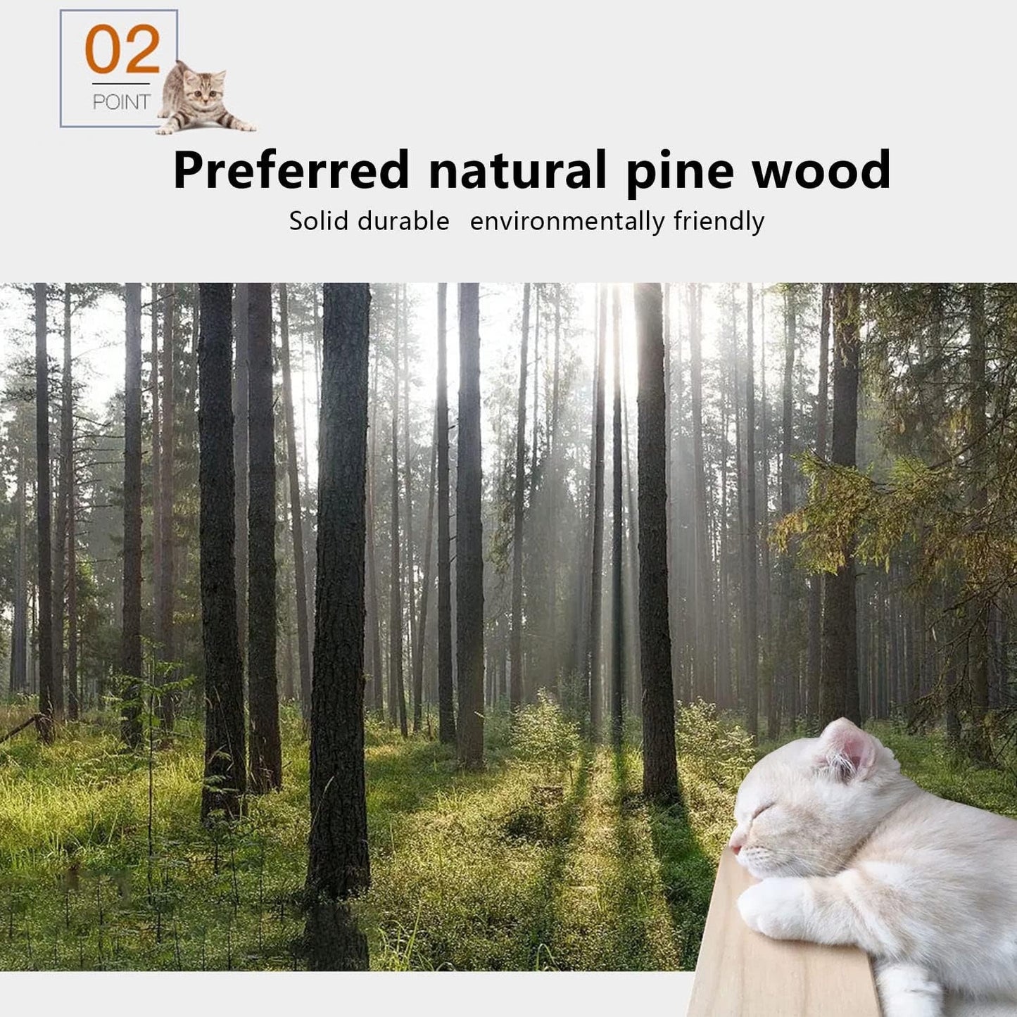 Cat Wall Shelves and Furniture Set with Condos, Perches, Bridge Ladders, Sisal Scratching Posts - Steps and Houses for Cats (C)