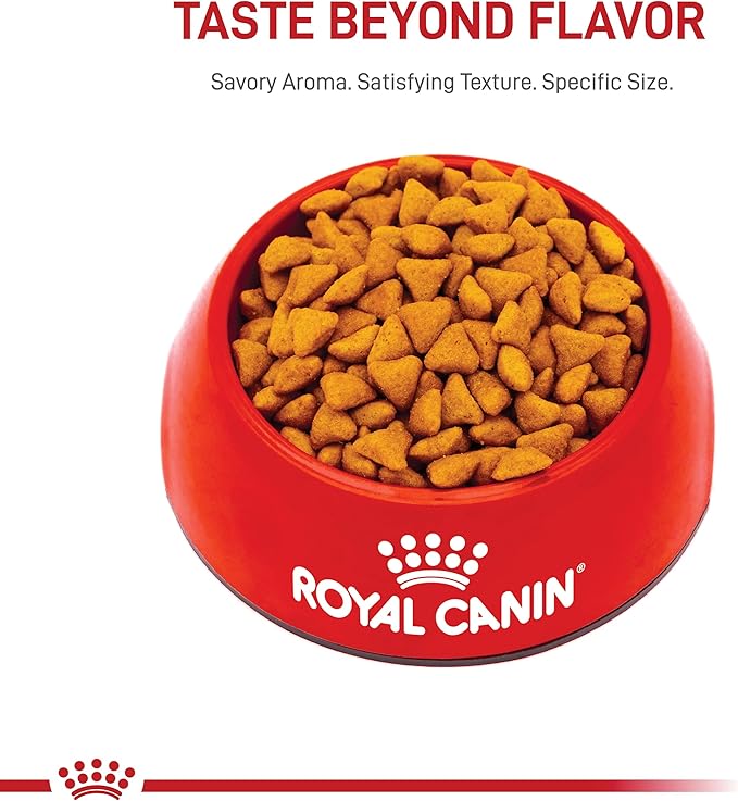 Royal Canin Feline Health Nutrition Dry Indoor Cat Food, Supports Healthy Weight, Digestive Health and Hairball Management, 3 lb Bag