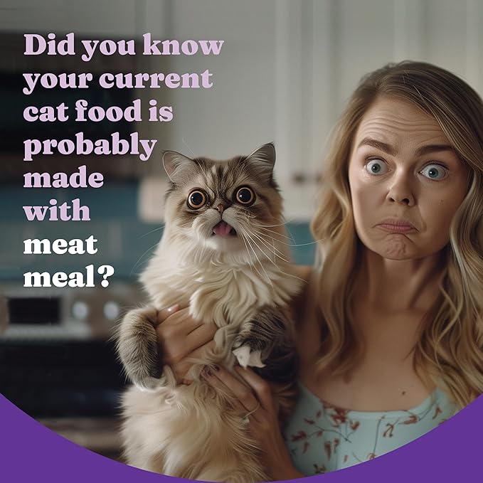 Halo Holistic Indoor Cat Food Dry, Grain Free Wild-caught Salmon & Whitefish Recipe for healthy weight support, Complete Digestive Health, Dry Cat Food Bag, Adult Formula, 6-lb Bag