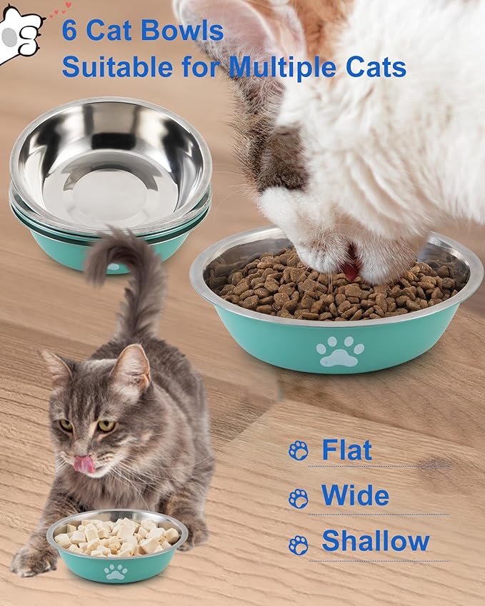 6 PCS Stainless Steel Cat Bowls, Non-Slip Stainless Cats Food Bowl Metal Cat Dishes Whisker Fatigue Kitten Plates Shallow Wide Kitten Bowls, 5.5” Whisker Friendly Food Dish (Bright Green)