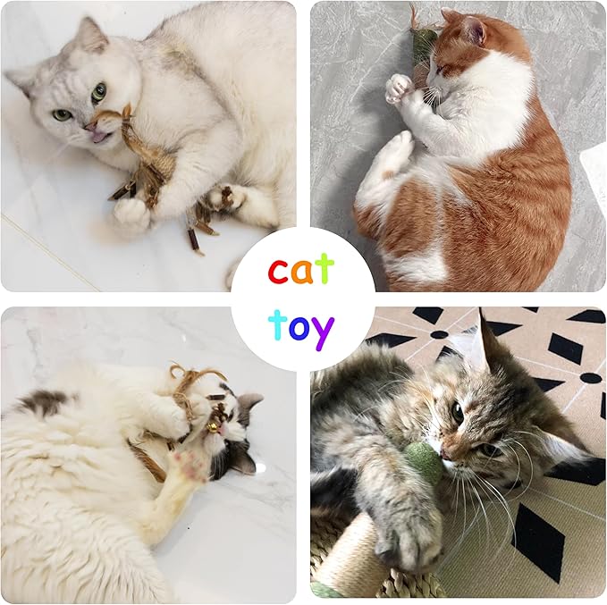 PAZ'S GIFT Cat Toys Catnip Toys Cat Kick Toy Natural Silvervine Catnip Sticks Kitten Teeth Molar Chew Toys, cat Indoor Toys Interactive cat Cleaning Teeth,Reduce Obesity and Loneliness 2-Pack