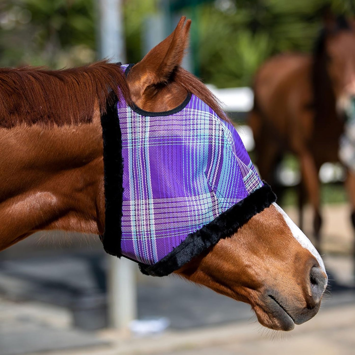 Kensington Fly Mask with Fleece Trim for Horses — Protects Face and Eyes from Flies and Sun Rays While Allowing Full Visibility — Breathable and Non Heat Transferring, X-Large, Lavender Mint