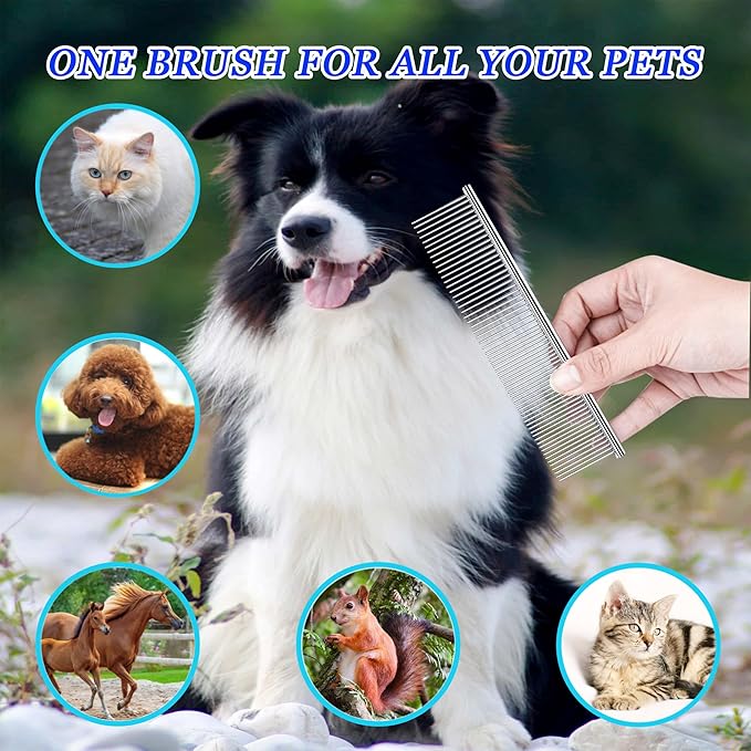 Dog Comb and Cat Combs Stainless Steel Teeth, Grooming Tool for Long & Short Hair, Dematting Comb for Dogs, Removes Tangles & Knots (Small Silver)