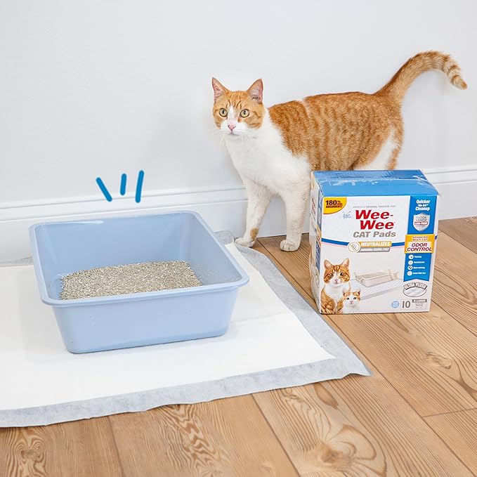 Four Paws Wee-Wee Cat Pee Pads, Disposable Litter Box Mats, Advanced Multi-Cat Odor Control, Fast Absorption Cat Box Pee Pads for Litter Tracking, 28" x 30", Unscented, 10 Count