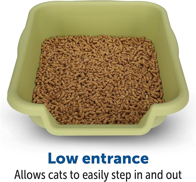KittyGoHere Senior Cat Litter Box 1 Pack, Small Apple Green Low Entrance Kitty Litter Box, Sized for Cats Comfort, Perfect for Senior and Arthritic Cats, Made in USA