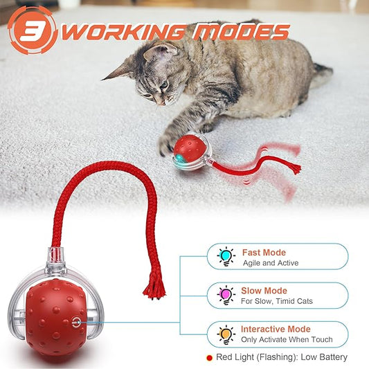 IOKHEIRA Interactive Cat Toys Ball, Motion Activate Electric Cat Toy, Automatic Pet Exercise Toys, Simulate Bird Calls, USB Rechargeable (Long Tail)