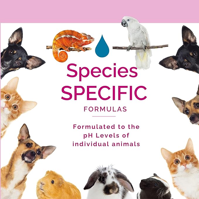 No Scent - Cat Litter Box Cleaner - 8 Fl Oz (236 mL) - Odor & Stain Remover with Probiotic Formula - Freshener for Furniture, Fabric, Hard Surfaces & Car