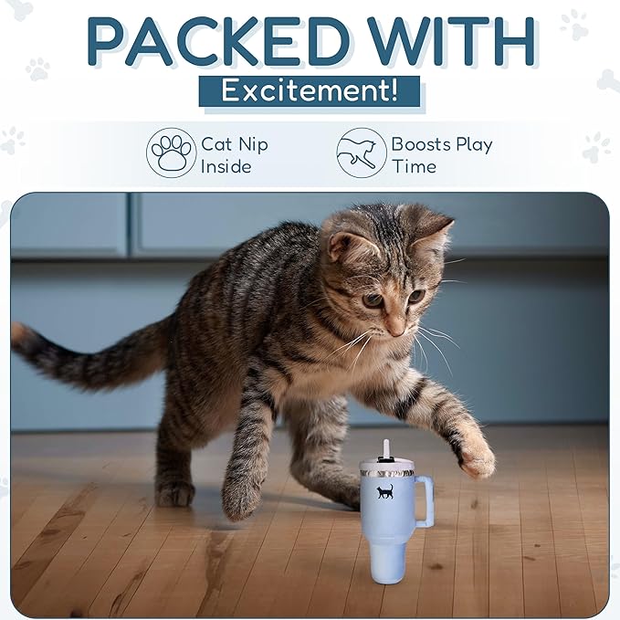 Kitty Cup Tumbler Cat Toy – Funny Cat Birthday Gifts with Catnip & Crinkle Paper, Cute Girl Kitten Toys (Chambray Blue)