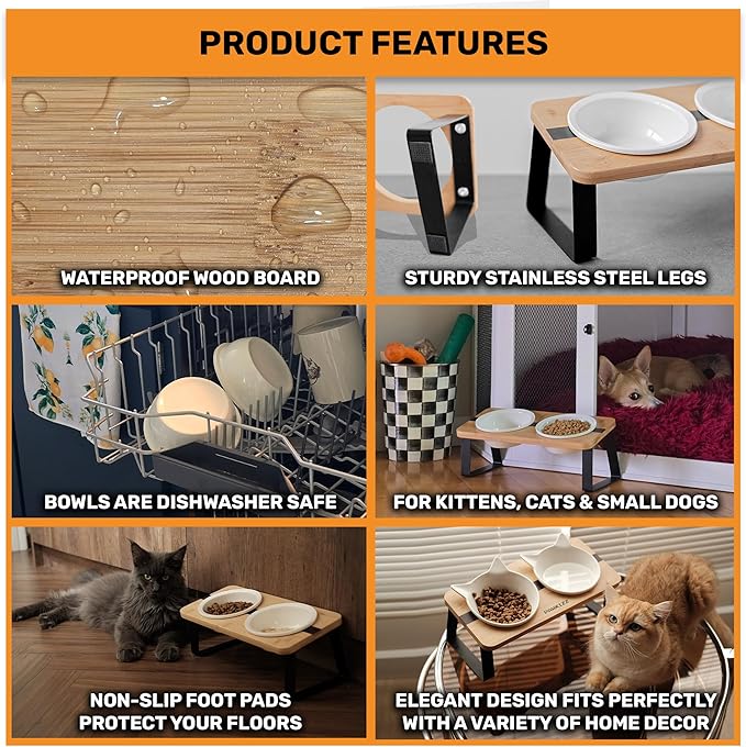 Elevated Cat Bowl Stand for Food and Water – Anti-Vomit Raised Feeding Station with Tilted Stand – Removable Stainless Steel Bowls, Anti Slip Bamboo Base, Dishes for Cats, Kitten, Small Dogs & Puppies