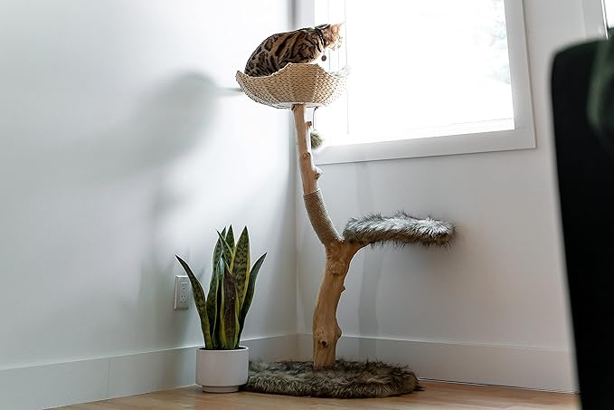 Wooden Cat Tree Tower, Modern Single Branch Cat Condo, Wood Cat Tree, Cat Climbing, Furniture for Cat, Cat Lover Gift, Cat Furniture,Cat Gift by MAU LIFESTYLE (Brown)