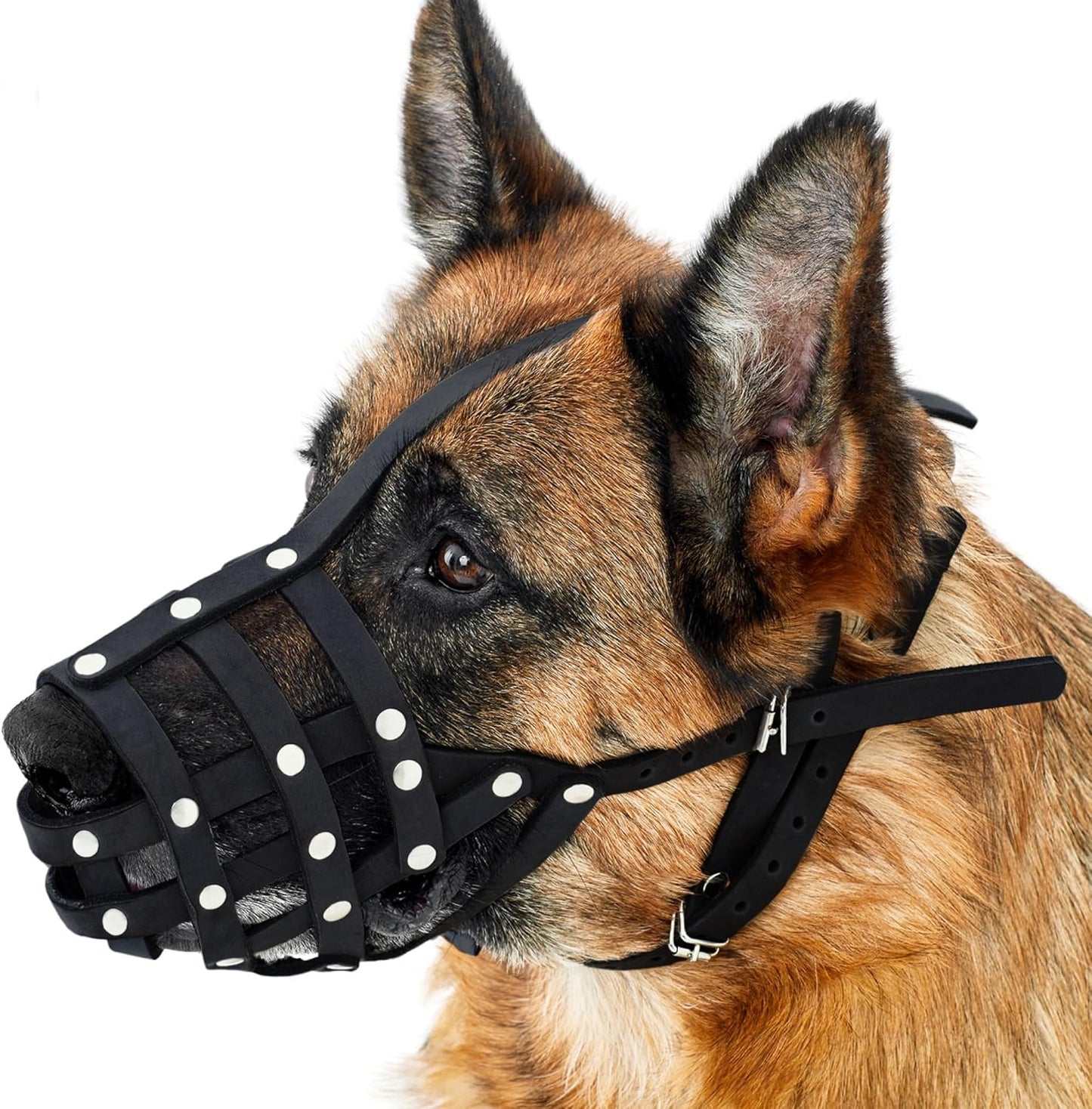 CollarDirect Dog Muzzle German Shepherd Dalmatian Doberman Setter Leather Basket Medium Large Breeds (Black, Large)