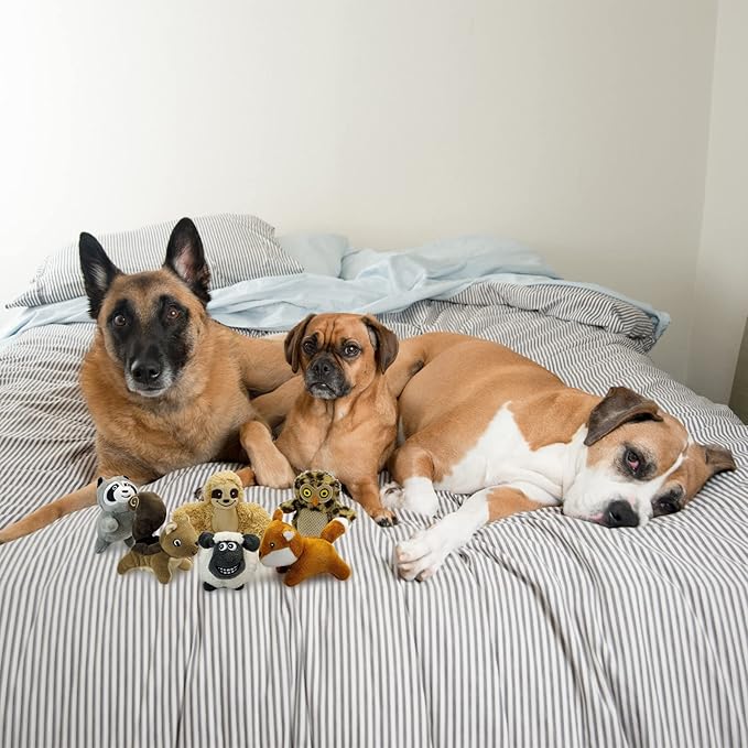 Hide and Seek Dog Puzzle Puppy Toys, Interactive Squeaky Plush, Stuffed Toys for Dogs (Sloth Squirrel Raccoon owl Fox Sheep)