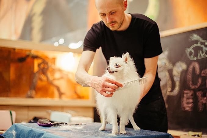 PETTOM Pet Steel Grooming Tool Poodle Finishing Butter Comb 7 1/2-inch L Silver Dog Combs with Rounded Ends Stainless Steel Teeth, Cat Comb for Removing Tangles and Knots