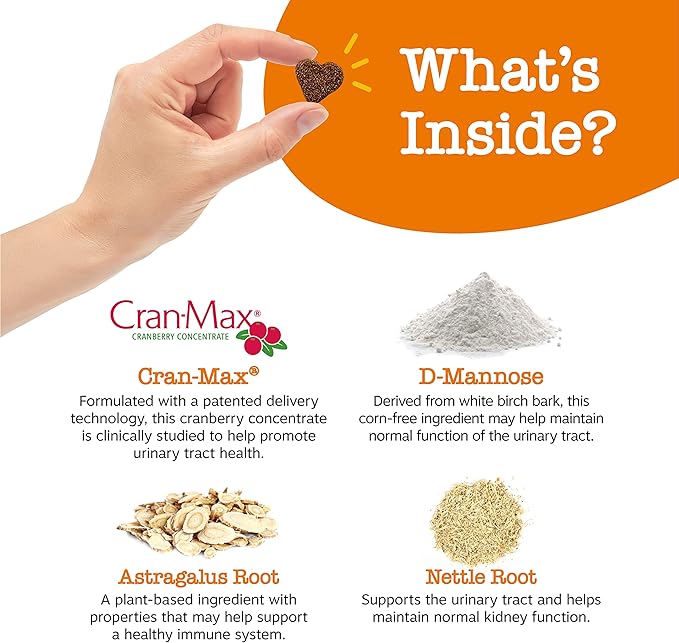 Zesty Paws Cranberry Supplement for Dogs - Bladder Control for Dogs - Urinary Tract Support - Cranberry Chews with D-Mannose, Vitamin B6 & L-Arginine - Immune & Gut Support - Bacon - 90 Count