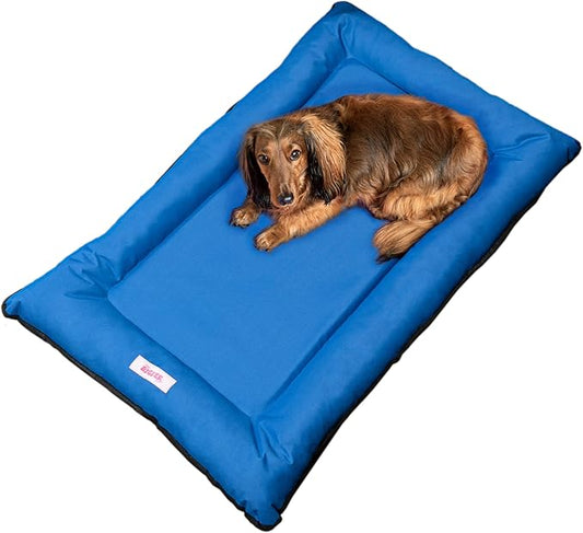 DBD3004D-L Archie 39" x 23" Traditional Oxford Waterproof Indoor/Outdoor Hand-Washable Memory Foam Camping Pet Bed, Cobalt