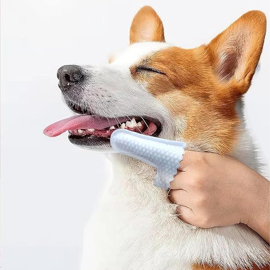 H&H Pets Disposable Finger Toothbrush Dental Dry Wipes for Dogs & Cats -Ultra Soft, Fragrance Free, Hypoallergenic, 60 Count
