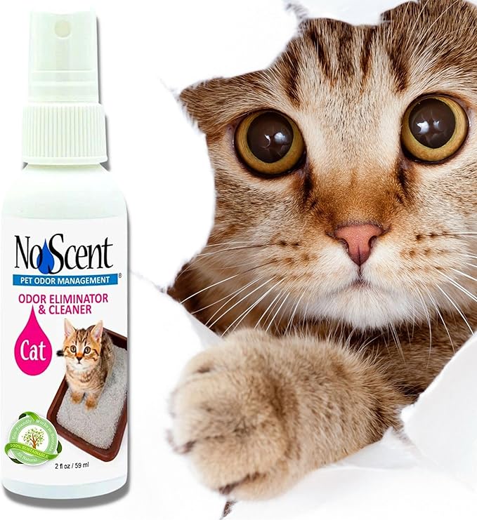 No Scent - Cat Litter Box Cleaner - 2 Fl Oz (59 mL) - Odor & Stain Remover with Probiotic Formula - Freshener for Furniture, Fabric, Hard Surfaces & Car