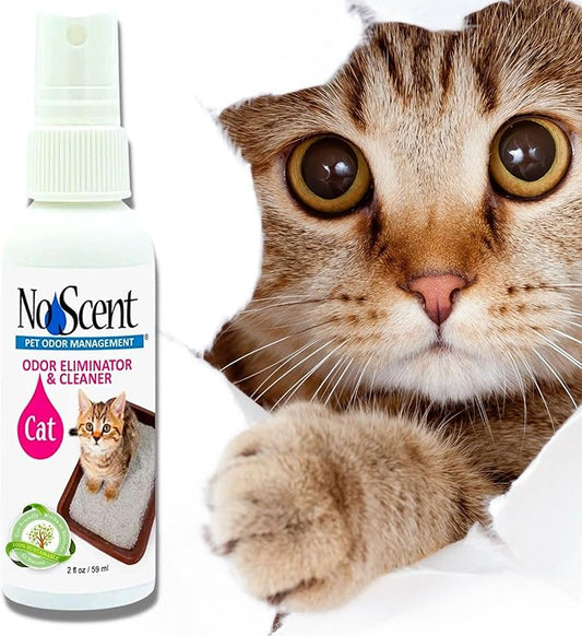 No Scent - Cat Litter Box Cleaner - 2 Fl Oz (59 mL) - Odor & Stain Remover with Probiotic Formula - Freshener for Furniture, Fabric, Hard Surfaces & Car