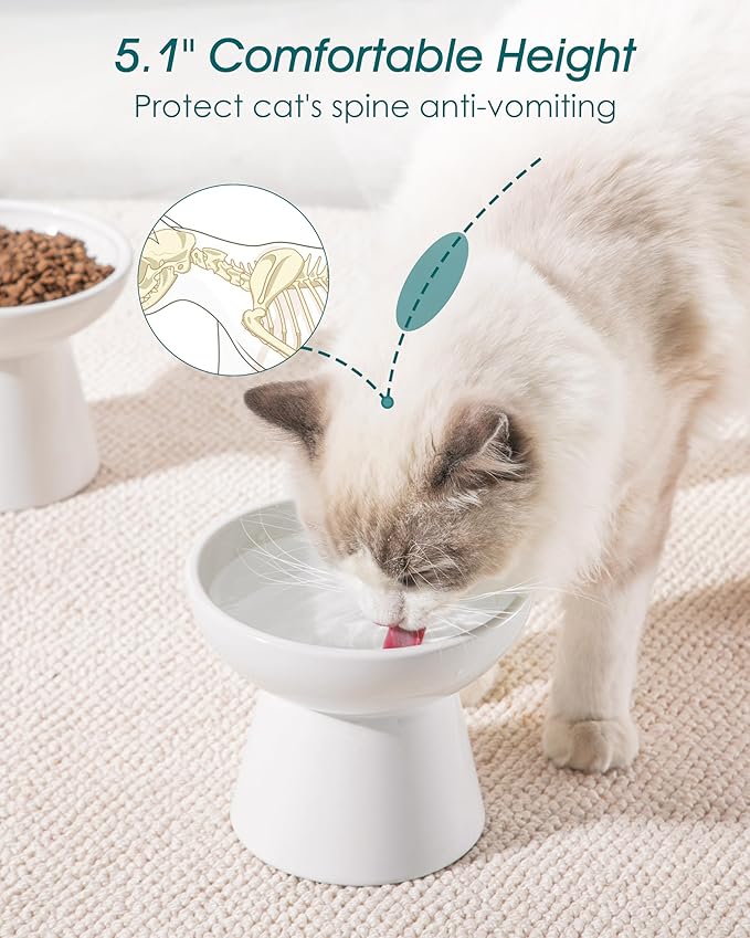 vancasso Elevated Cat Bowls 2-Pack, Ceramic Raised Cat Food and Water Dishes with 5.1" Height & 6.2" Wide Opening - Anti Vomit, Whisker Fatigue Relief for Senior Cats, Kittens and Small Dogs (White)