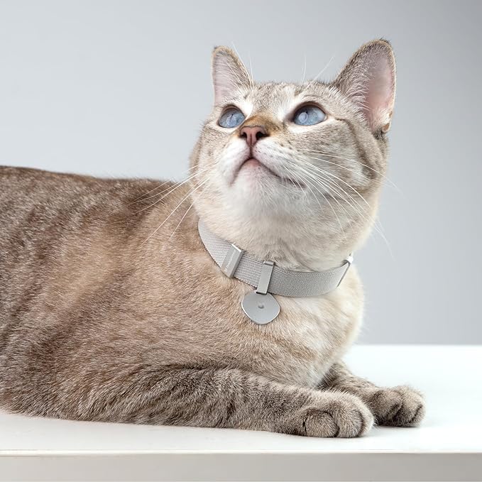 Safety Cat Collar Pro and Tag Set - U.S. IDA Gold Award, Elastic Release Cat Collar Charm Tag, Non Breakaway Cat Collar Adjustable with Charm for Kitten Small Large Cats (Sierra Blue, S)