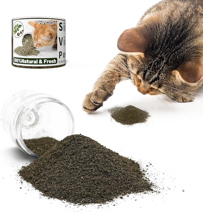 Cat Toys - Blend Silvervine Powder 25g, Catnip Alternative, 100% Natural Silver Vine Gall Fruit Powder & Silvervine Leaves, Suitable for All Cat Ages