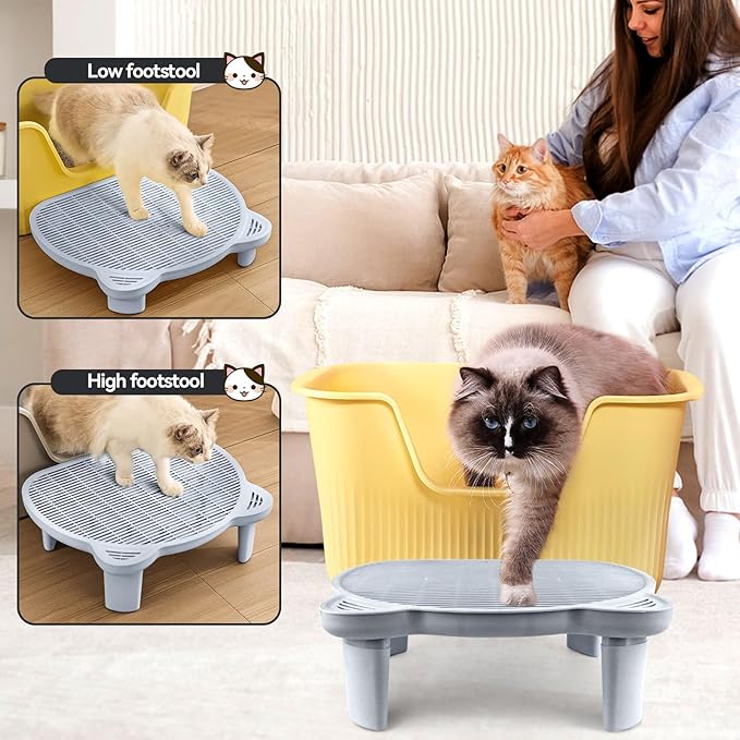 Adjustable Cat Ramp Litter Box Step Double Layer with Filter Function, Elevated Litter Box Ramp for Senior Cats Easy Cleaning Cat Litter Tray for Floor Indoor (Grey)