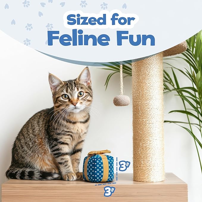 Gift Box Cat Toy – Birthday Toys with Catnip, Plush Crinkle Present for Indoor Play, for Cats