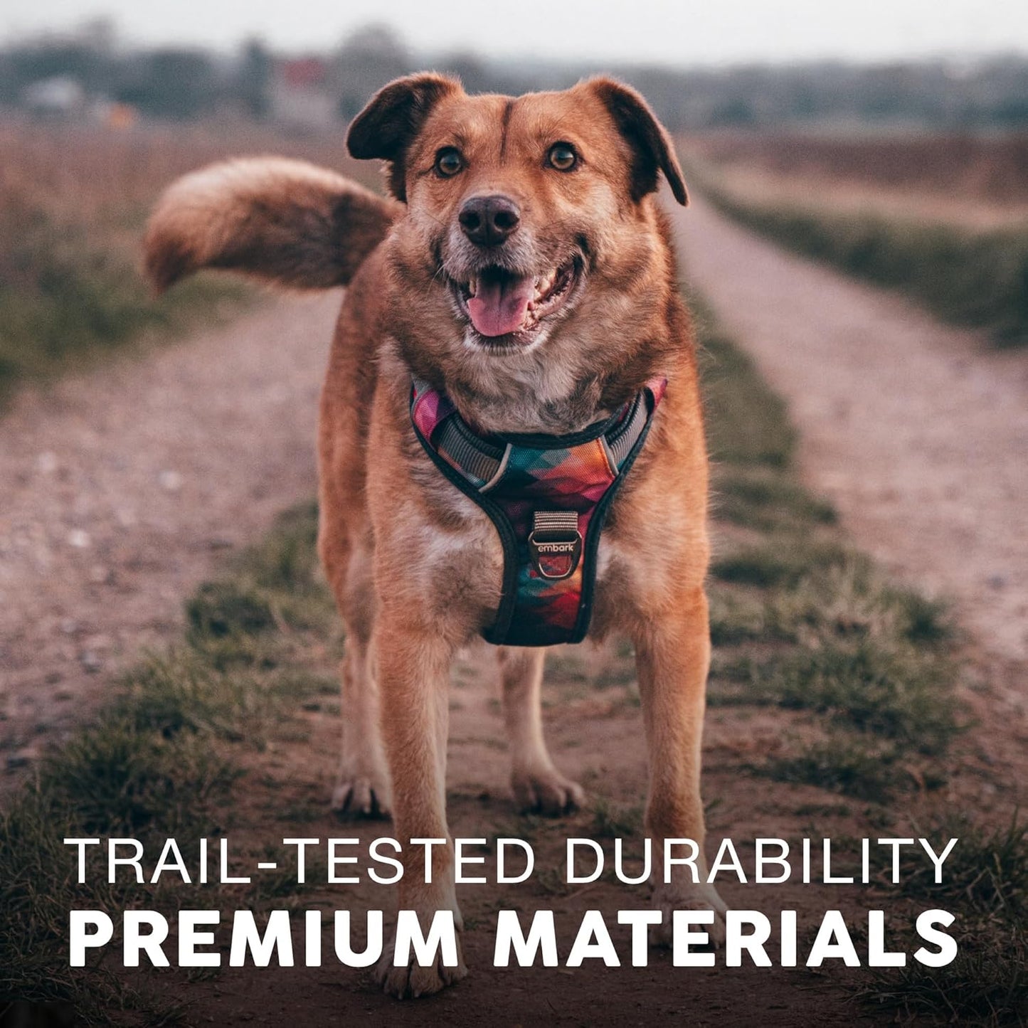 Embark Adventure Dog Harness, No-Pull Reflective Trim Dog Harness for Small, Medium & Large Dogs - Heavy Duty Oxford, 2 Leash Clips & Gel Lined Handle. Soft & Padded Puppy Dog Vest for Any Breed