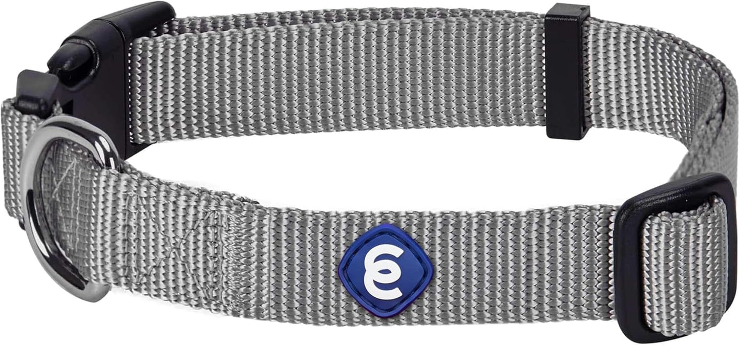 Blueberry Pet Essentials Medium Dog Collar in Flint Gray | Adjustable & Eco-Friendly Durable Nylon Strap | Classic Collar for Medium Dogs, Boy & Girl Pets
